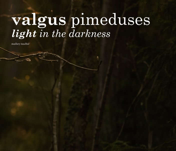 View valgus pimeduses by mallory taulbee