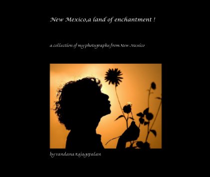New Mexico,a land of enchantment ! book cover