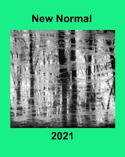 New Normal 2021 book cover