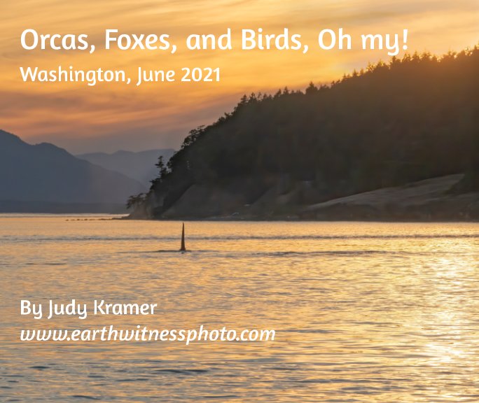 View Orcas, Foxes, and Birds, Oh my! by Judy Kramer