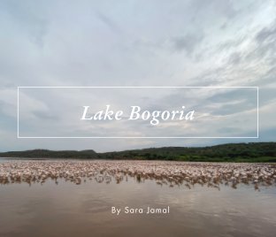 Lake Bogoria book cover