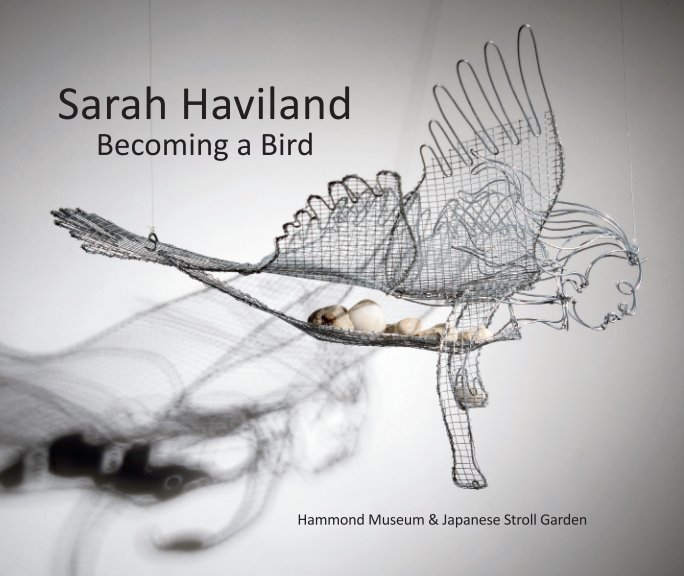 Bekijk Becoming a Bird op Sarah Haviland