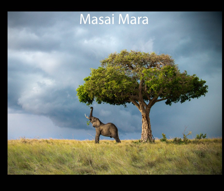 View Masai Mara by Boone Thomson
