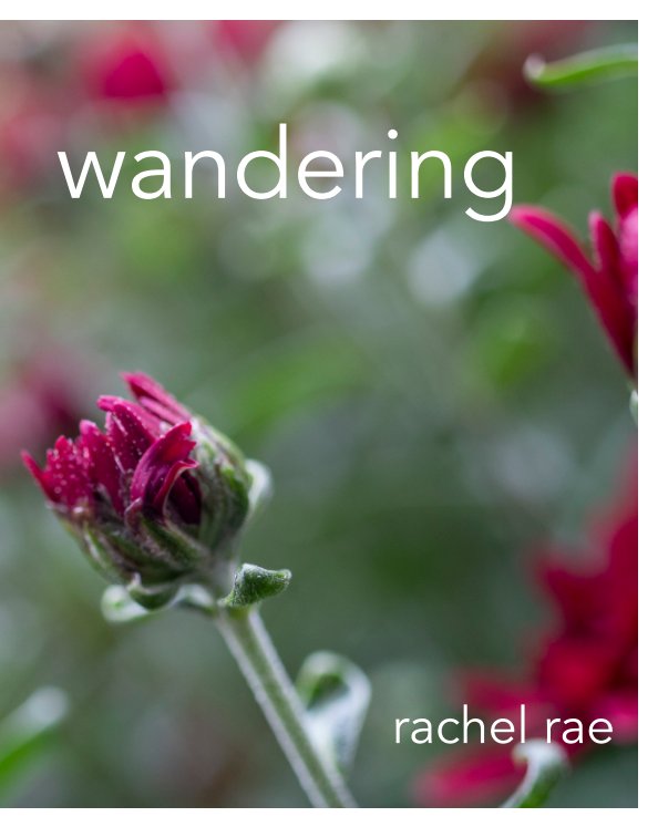 View Wandering by Rachel Rae