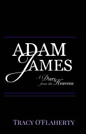 ADAM JAMES ~ A Diary from the Heavens book cover