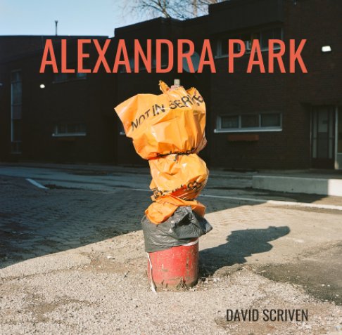 View Alexandra Park by David Scriven