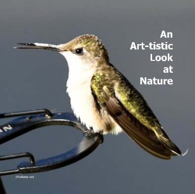 An Art-tistic Look at Nature book cover