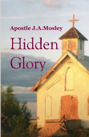 Hidden Glory book cover