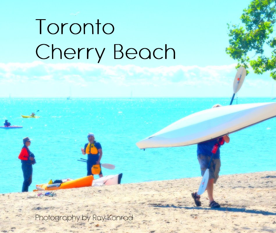 View Toronto Cherry Beach by Ray Konrad