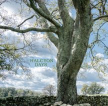 Halcyon Days book cover