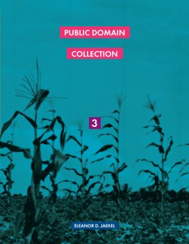 Public Domain Collection Magazine #3 book cover