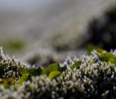 Iceland 2021 book cover