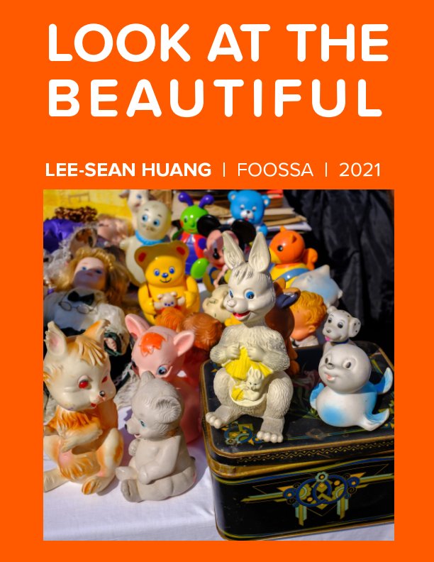 Visualizza Look at the Beautiful di Lee-Sean Huang