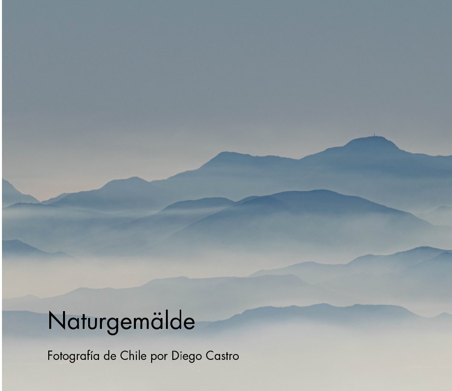 View Naturgemalde by Diego Castro