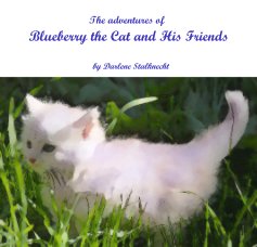 The adventures of Blueberry the Cat and His Friends book cover