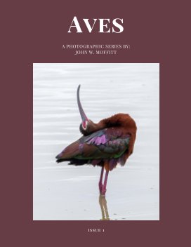 Aves Issue 1 book cover