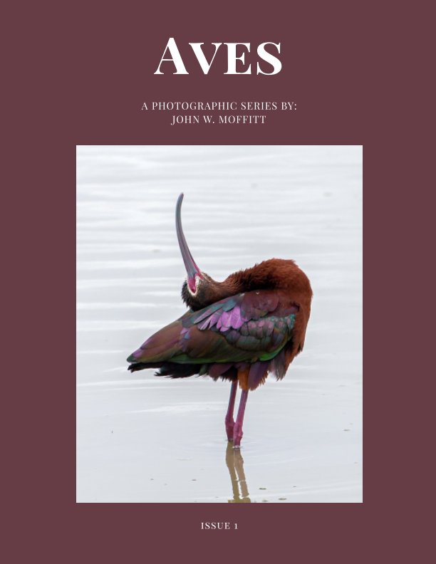 Aves Issue 1 nach John W. Moffitt anzeigen