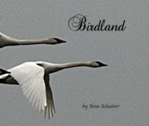 Birdland book cover