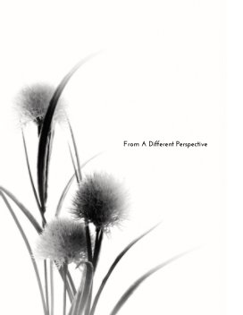 From a Different Perspective book cover
