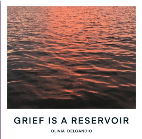View Grief is a Reservoir by OLIVIA DELGANDIO