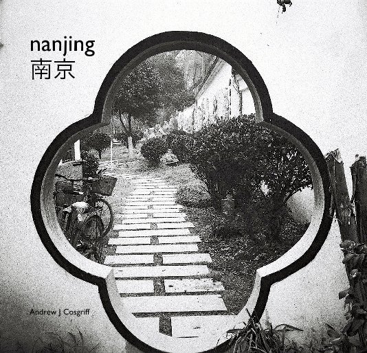View nanjing by Andrew J Cosgriff