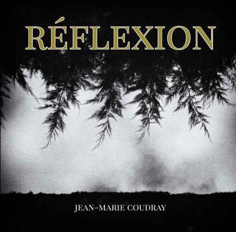 View réflexion by jean-marie coudray