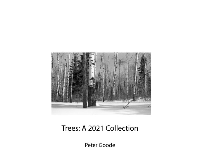 View Trees by Peter Goode