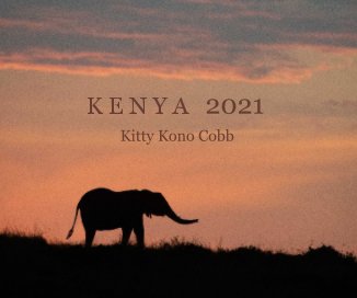 Kenya 2021 book cover