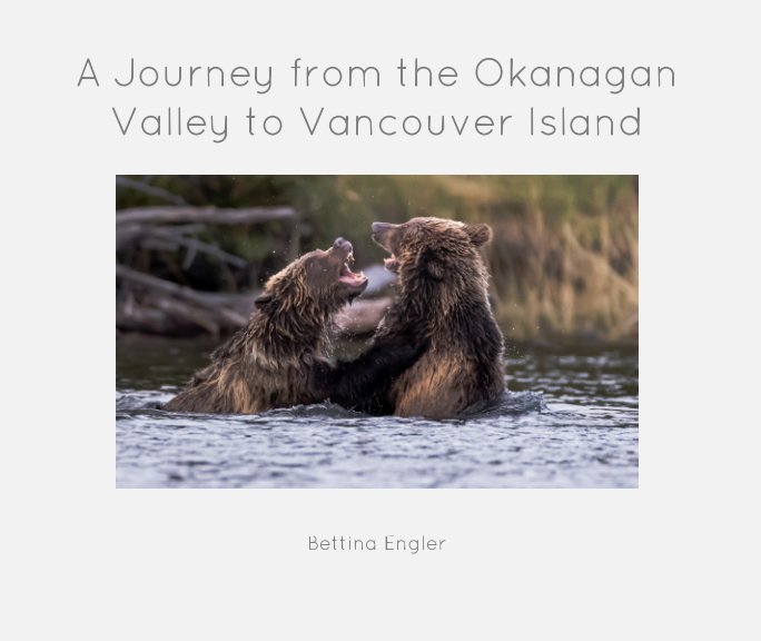 View A Journey from the Okanagan Valley to Vancouver Island by Bettina Engler