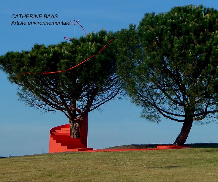Bekijk CATHERINE BAAS Artiste environnementale op Catherine Baas