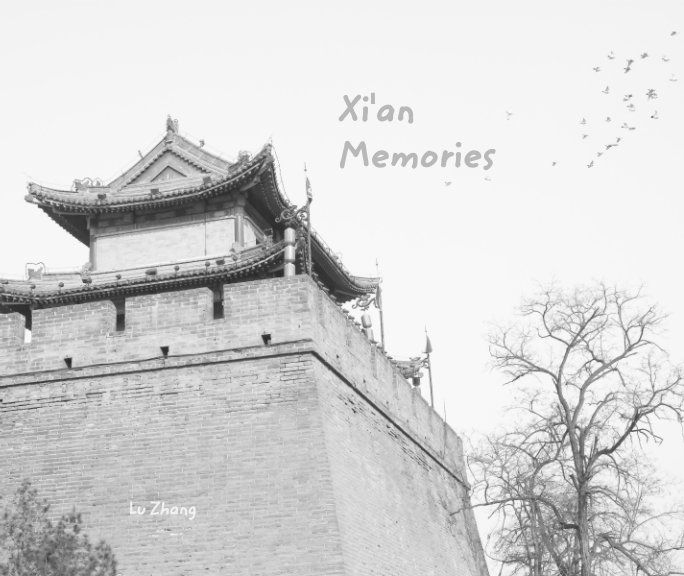 Xi'an Memories by Lu Zhang | Blurb Books