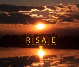 Risaie book cover