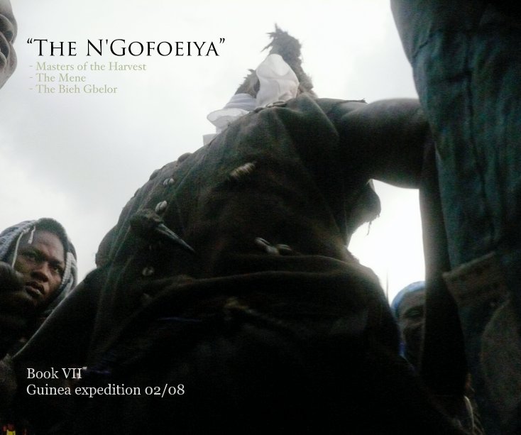 View The N'Gofoeiya by Patrick Gorham Lanfia Toure