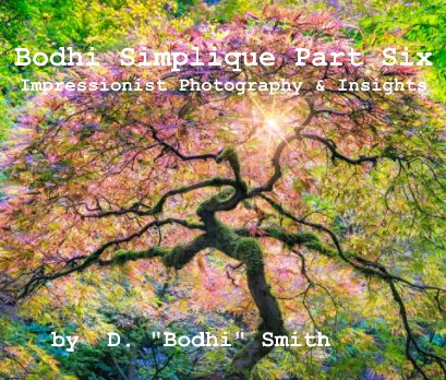 Bodhi Simplique Part Six Impressionist Photography And Insights book cover