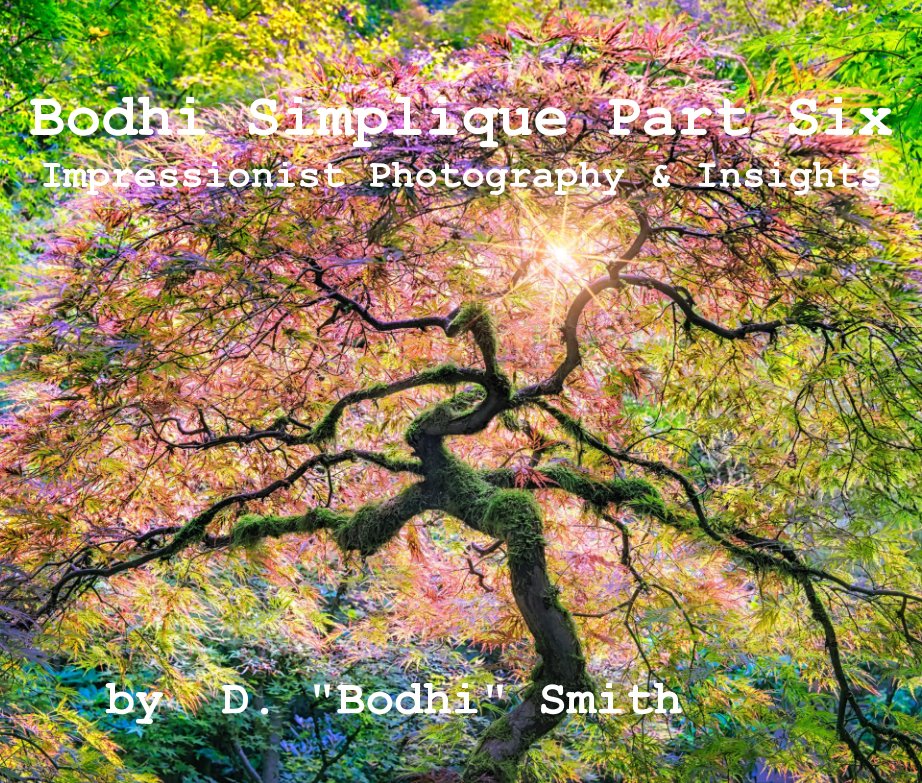 Ver Bodhi Simplique Part Six Impressionist Photography And Insights por D. "Bodhi" Smith