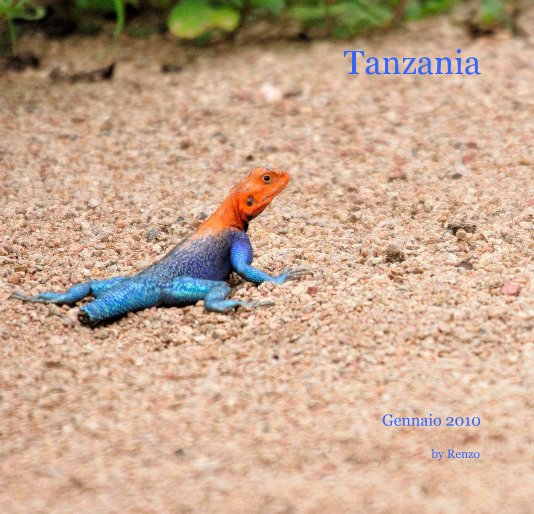 View Tanzania by Renzo