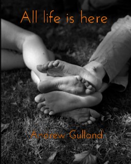 All Life is Here book cover
