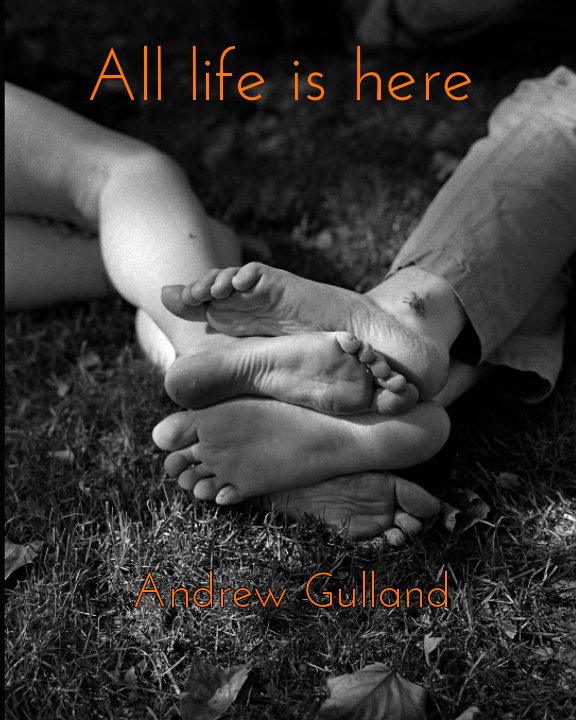 Visualizza All Life is Here di Andrew Gulland