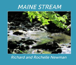 Maine Stream book cover