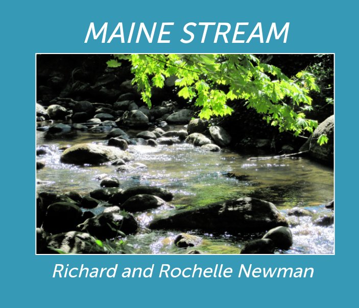 View Maine Stream by Richard and Rochelle Newman