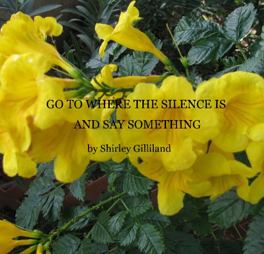 Ver GO TO WHERE THE SILENCE IS AND SAY SOMETHING por Shirley Gilliland