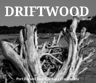 Driftwood Port Burwell Beach Lake Erie Canada book cover