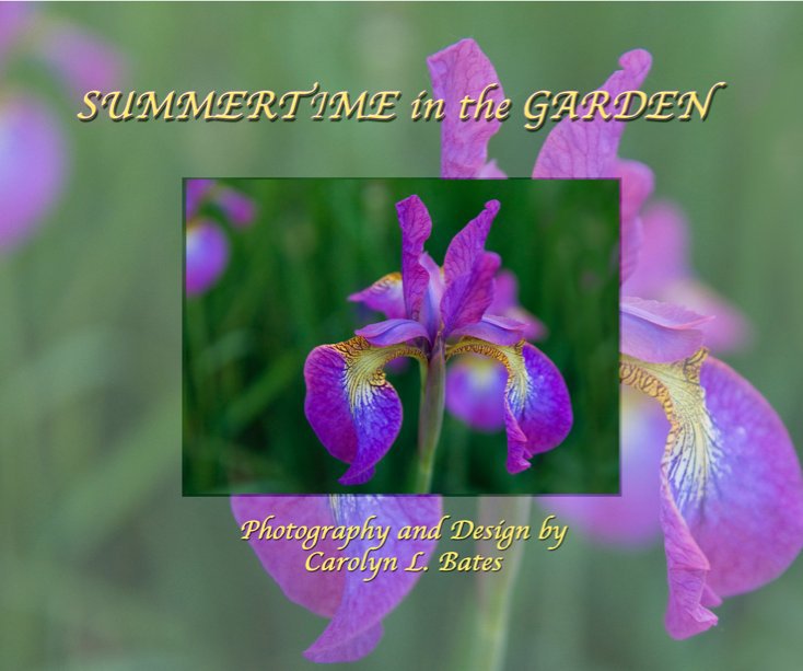 View Summertime in the Garden by Carolyn L. Bates