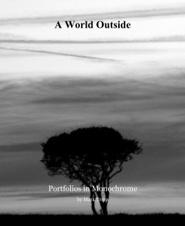 A World Outside book cover