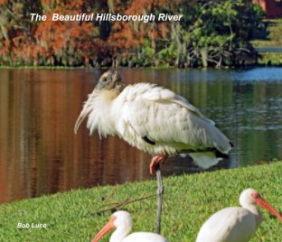 Hillsborough River book cover