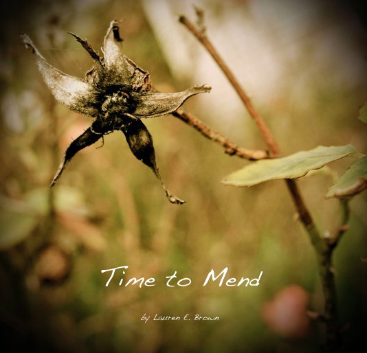 View Time to Mend by Lauren E. Brown