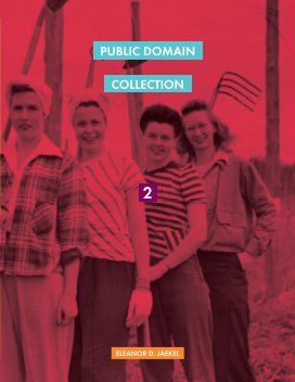 Public Domain Collection Magazine #2 book cover
