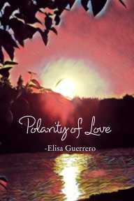 Polarity of Love book cover