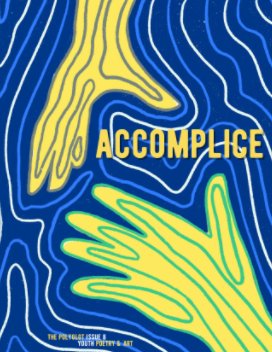 Accomplice_Issue 8 book cover