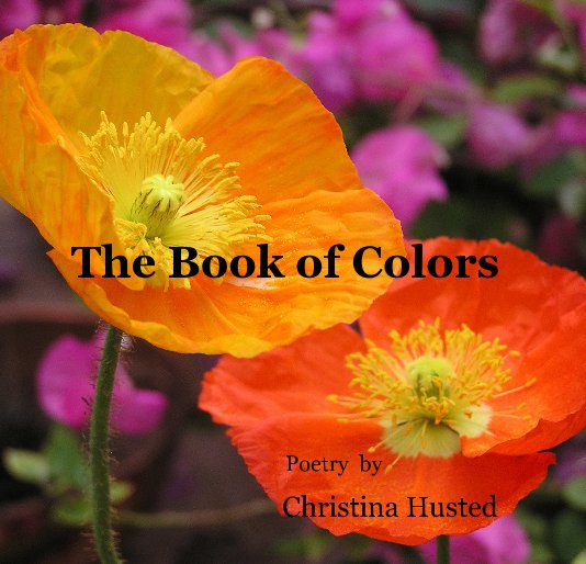 View The Book of Colors by Christina Husted